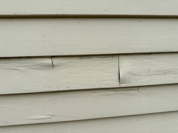 Best Siding Painting and Refinishing  in Sullivan, MO